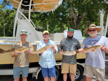 Pinellas County Report Photo 4