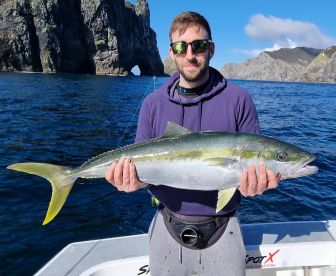 Bay of Islands kingfish August 2022