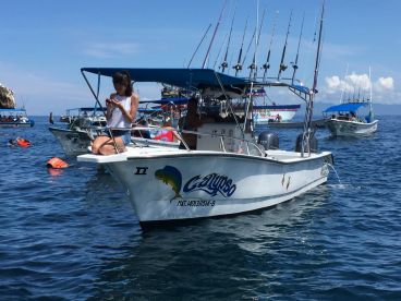 Puerto Vallarta Report Photo 1