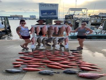 Florida Panhandle Report Photo 2