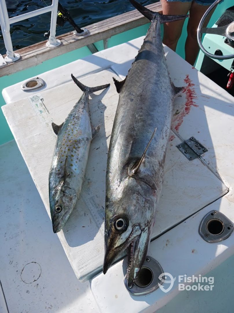 Destin Report Photo 0