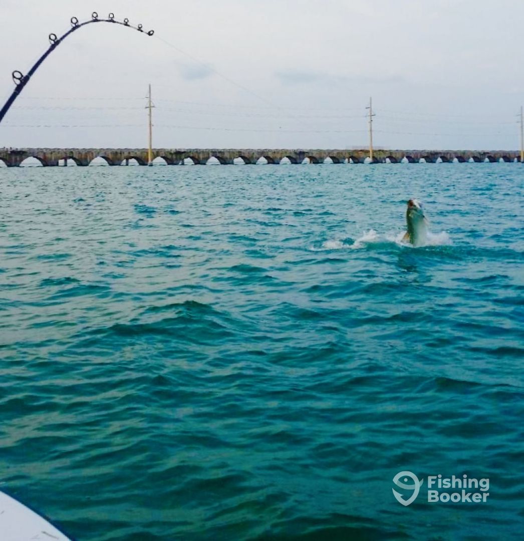 Islamorada Report Photo 0
