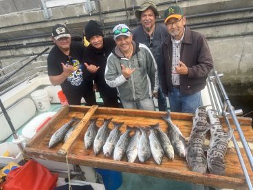 San Francisco Report Photo 2
