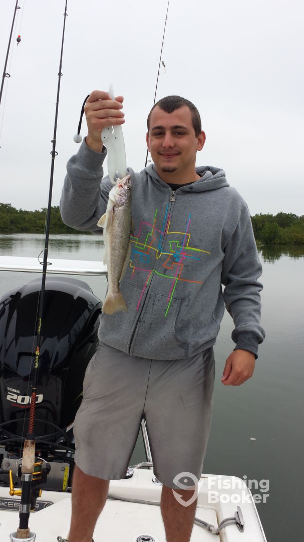 Port Orange Report Photo 0