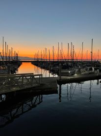 Seattle Report Photo 2