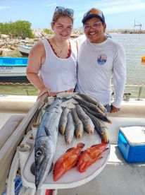 big barracuda few groupers and tons of s