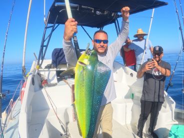Baja California Report Photo 1