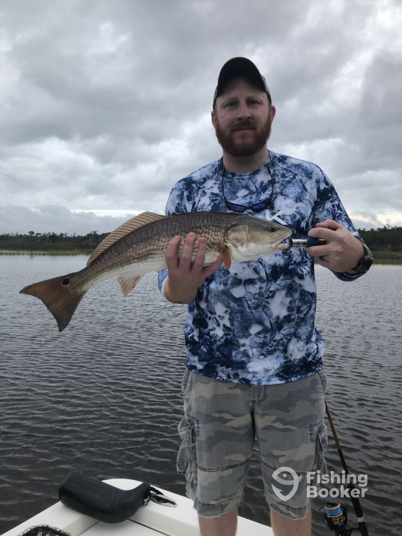 Charleston Report Photo 0
