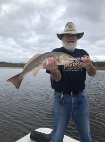 Charleston Report Photo 2