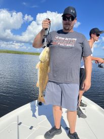 St. Bernard Report Photo 2