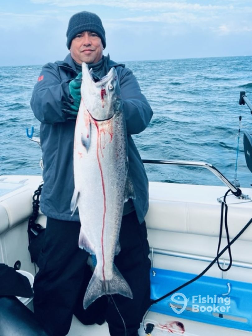 Sausalito Report Photo 0