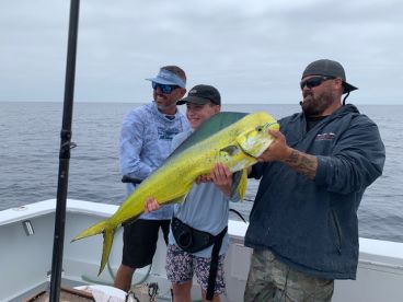 Oceanside Report Photo 2