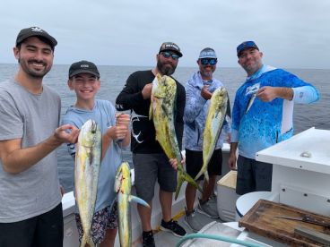 Oceanside Report Photo 1