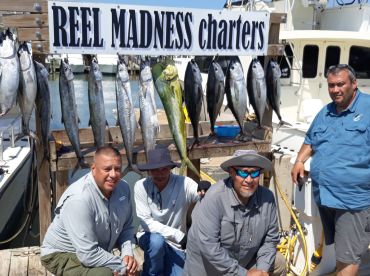 Tuna,dorado,kingfish