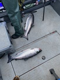 Winchester Bay Report Photo 2