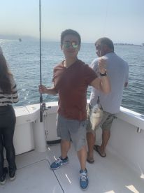 New York Report Photo 2