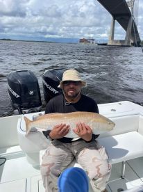 More Bull Reds!!!