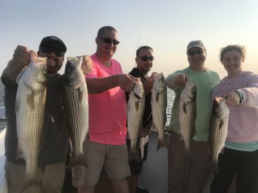 Chesapeake Beach Report Photo 2