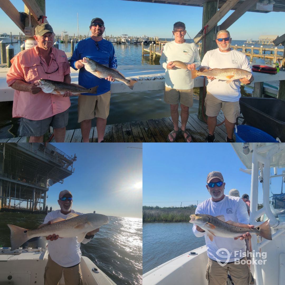 Alabama Report Photo 0