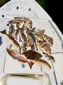 Mississippi Report Photo 1