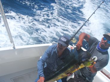 Baja California Sur Report Photo 2