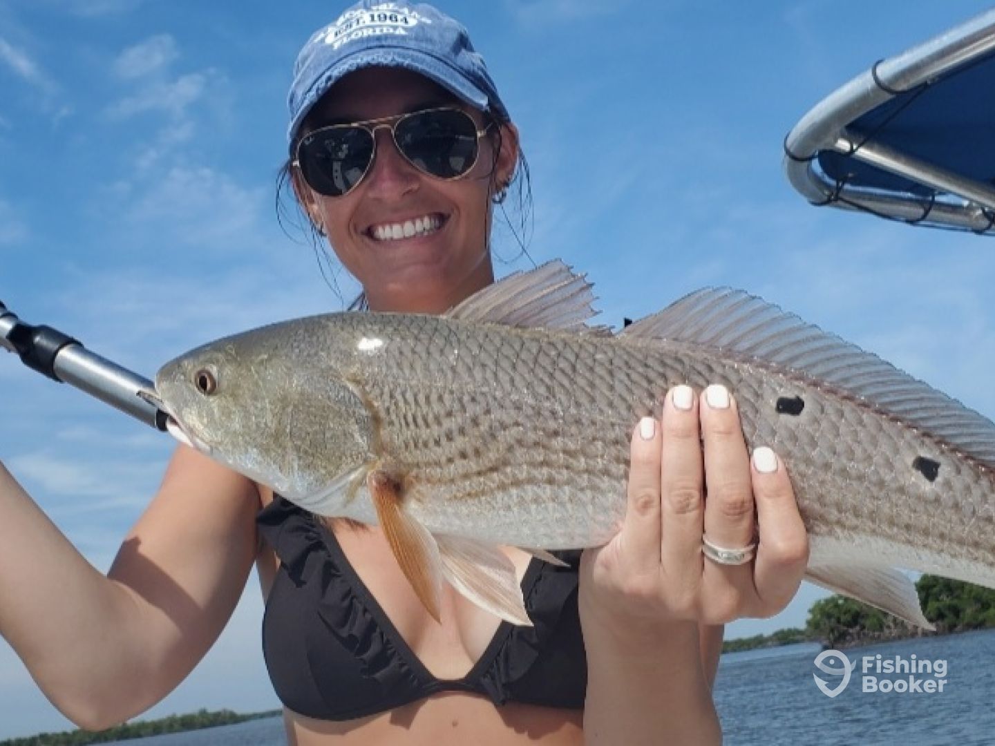 Marco Island Report Photo 0