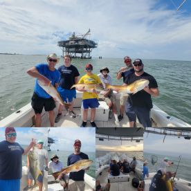 Gulf Shores Report Photo 1