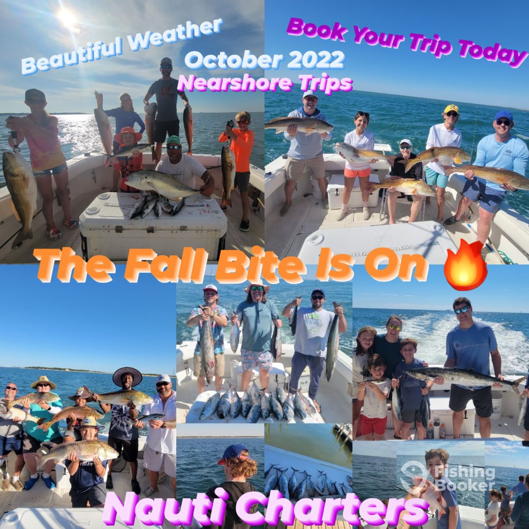 Gulf Shores Report Photo 0