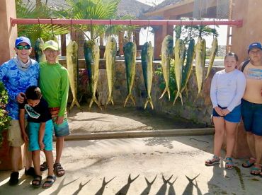 San Jose del Cabo Report Photo 2
