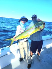 Dania Beach Report Photo 1