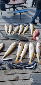 Fishing is really picking up!