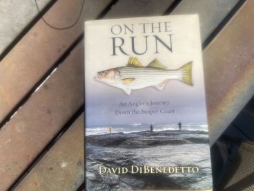 Ocean and River Striped Bass Update