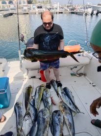 Mahi Mahi adventure