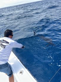 Big Game Fishing