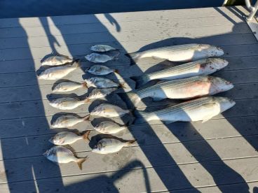 Point Pleasant Report Photo 2