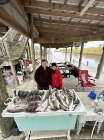 Big specs and sheephead