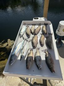 Beautiful weather turns on the bite!