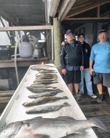 Crystal River Report Photo 1