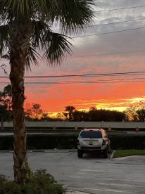 Fort Myers Report Photo 2