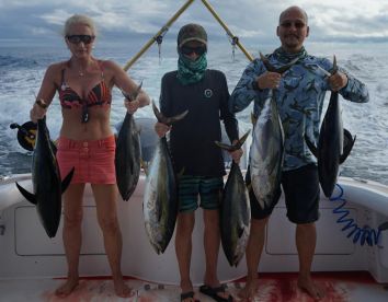 10 Yellowfins and 1 Mahi