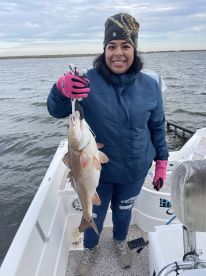 St. Bernard Report Photo 2