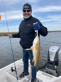 St. Bernard Report Photo 1