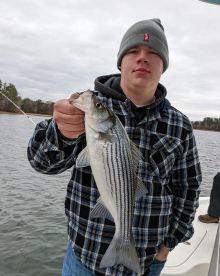 Georgia Report Photo 2