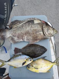 Port Canaveral Report Photo 1