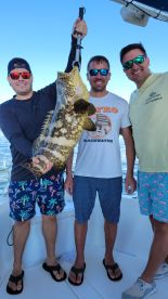 Marco Island Report Photo 1
