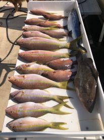 Key Largo Report Photo 2