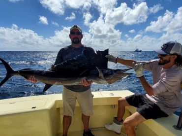 Hollywood Report Photo 1