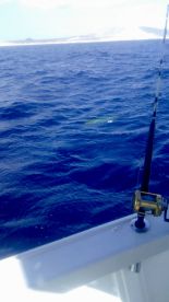 San Jose del Cabo Report Photo 1