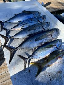 Key Largo Report Photo 1