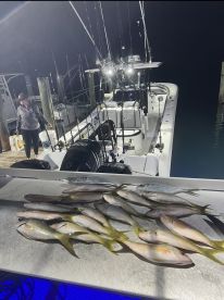 Key Largo Report Photo 2